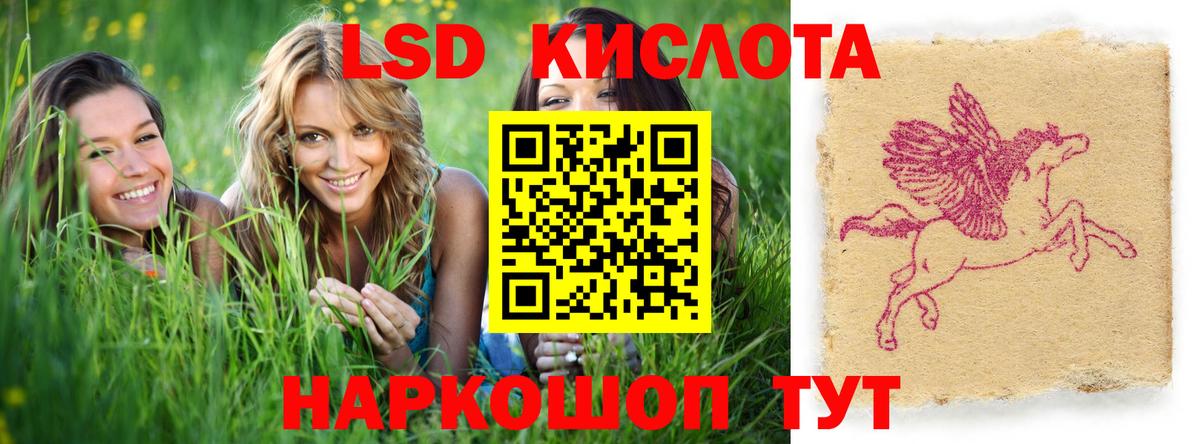 Лсд 25 экстази кислота Курчалой