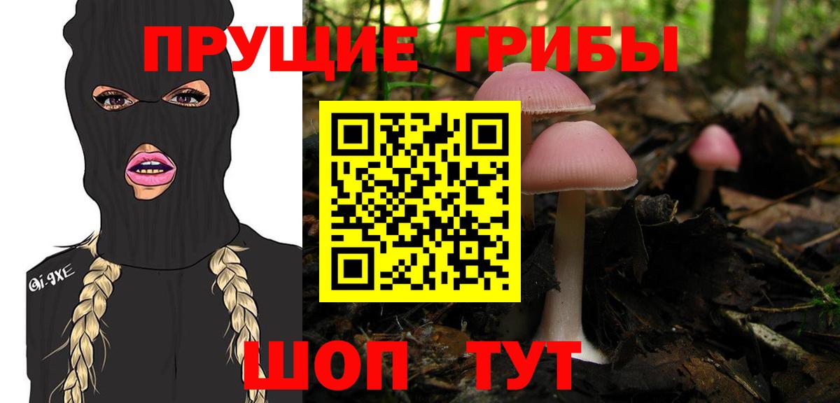 Галлюциногенные грибы мухоморы  Вход с VPN  Курчалой 